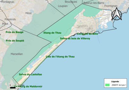 Carte des ZNIEFF de type 1 sur la commune.