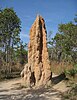 A tall termite mound