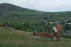 A hillside overlooking Uyts