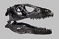 Deinonychus Dinosaure carnivore