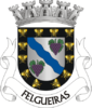 Coat of arms of Felgueiras