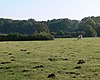 Debdale Meadow