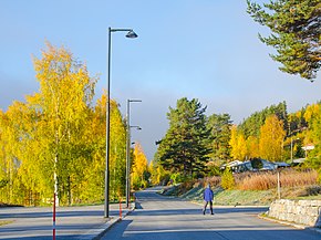 Straße durch Vrådal (Vråliosvegen)