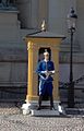 A dragoon standing sentry at the Royal Palace in Stockholm.