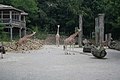 Tiere im Osnabrücker Zoo