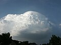 Cumulonimbus pileus