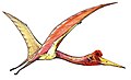 The azhdarchid Quetzalcoatlus, one of the largest animals to ever fly, lived during the Late Cretaceous