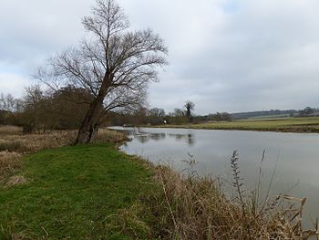 River Nene in Wadenhoe Marsh and Achurch Meadow