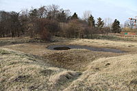 „Salzsaline“, Fläche am Salzgraben Salzdahlum