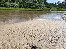 Sand deposits and vegetation around river Rwizi in Mbarara in western Ugand