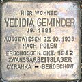 Yedidia Geminder