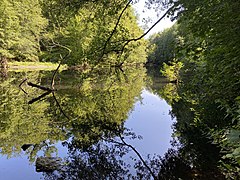 Wupper bei Wilhelmstal