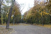 One of the park's alley in 2015