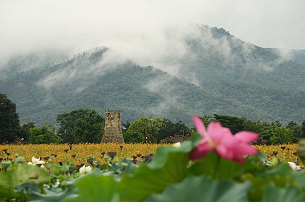 우경