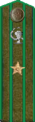 погон 1943