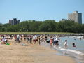 Montrose Dog Beach (visible in background)