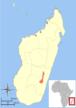 Distribución del lémur lanudo de Peyrieras