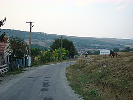View of Bogatu Român
