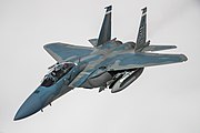 From 2029, fifty F-15IAs, based on the USAF's new F-15EX Eagle II, will replace the aging F-15A-D Baz on Tel Nof[13]