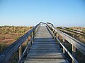 Boardwalk over dunes