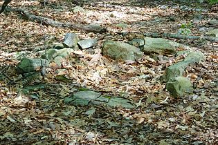 Fireplace remains