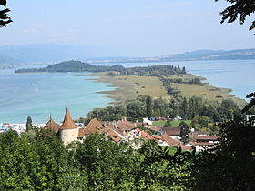 La lande et l'île Saint-Pierre vus de l'ouest.