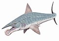 Helicoprion bessonovi, hypothetische Rekonstruktion