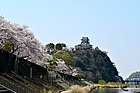 木曽川沿いの犬山城と桜並木