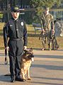 Police Officer Reynolds prepares to turn over Lex to the Lee family