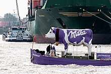 A giant purple cow on a boat