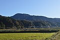 京丹後市弥栄町溝谷から見た金剛童子山