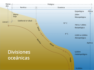 Infografía que muestra divisiones oceánicas dependiendo de profundidad y distancia de la costa.