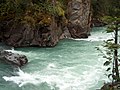 Image 16Rapids in Mount Robson Provincial Park (from River ecosystem)