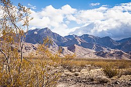 Tall mountains rise from brushy desert floor.