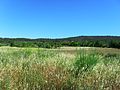 Paysage du Moyen-Var vu depuis Tavernes (Var).