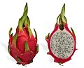 Red pitaya