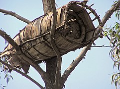 Une ruche artisanale faite en bois et en feuille de bananier au Rwanda.