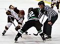 Saara Tuominen takes a face-off during a game against the University of New Hampshire at the DECC arena in Duluth, MN on Saturday, 13 March 2010.