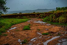 Seasonal river at Kidepo valley National Park.