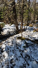 Snow conditions descending Street Mountain on a warm May day.