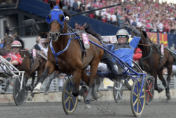 Timoko wins Elitloppet 2017.png