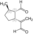 (1S,2R,5R)-(+)-Dolichodial (A')