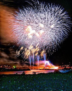 江戸川区花火大会2019 （江戸川区側 富士山仕掛け花火の模様）