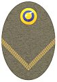 Hat badge (Mössmärke m/1940) for a second lieutenant in the army
