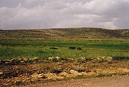 Photograph of the land surrounding the reservoir