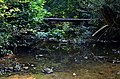 The bridge over the Ažytė in Antkalnis