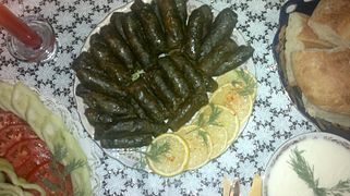 Dolma