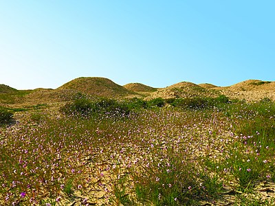 Tumulus de la nécropole Madinat Hamad 1