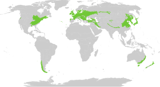 Description de l'image Biome_map_04.svg.