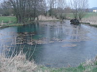 Bodenloses Loch